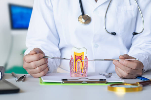 Best Walk-In Emergency Dentist in Murray, KY